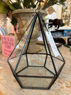 Geometric glass terrarium