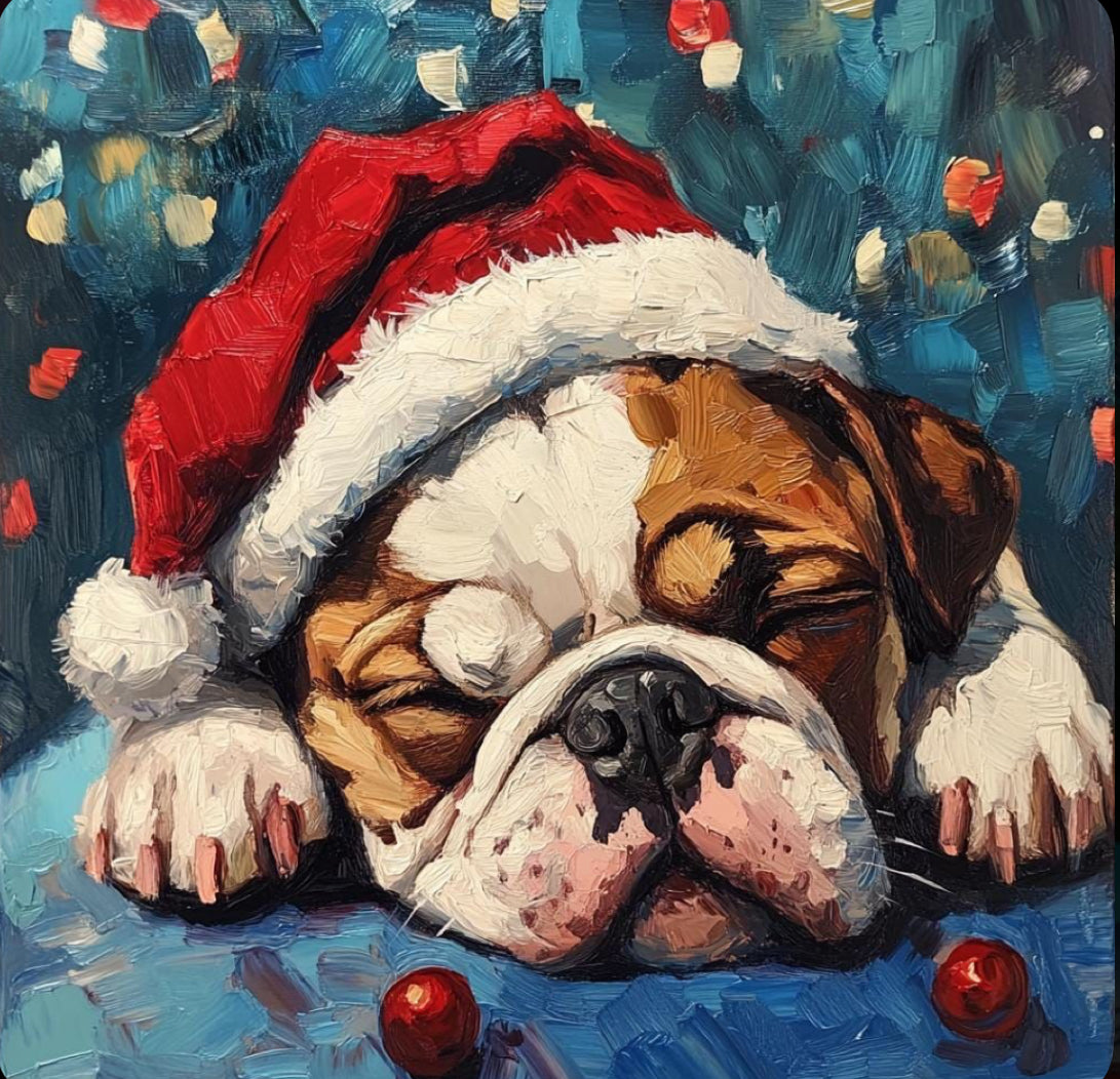 Paint your pet Christmas 12-13