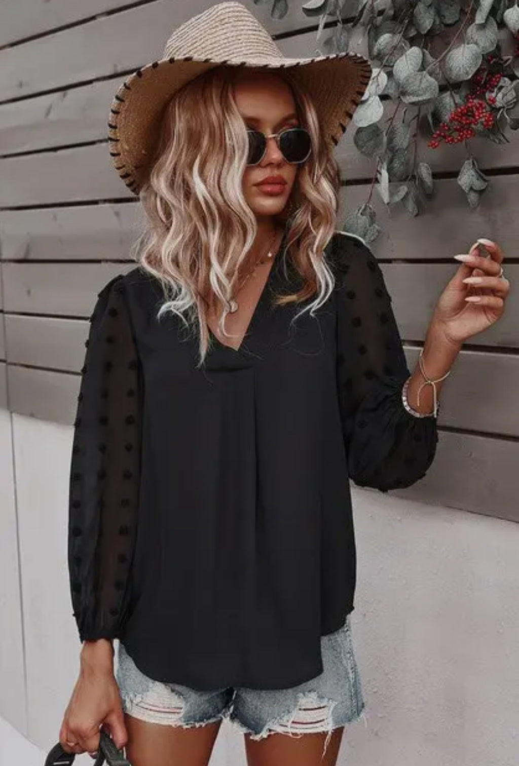 Solid V neck black sheer blouse